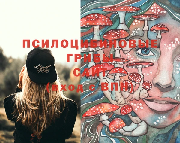 марки lsd Медвежьегорск