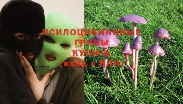 мяу мяу кристалл Мегион