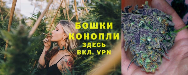 2c-b Медногорск